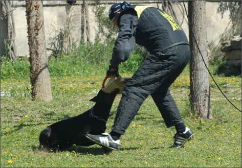 Training in France 23. - 25. 3. 2008 