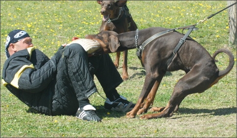 Training in France 23. - 25. 3. 2008 