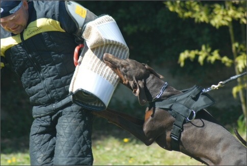 Training in France 23. - 25. 3. 2008 