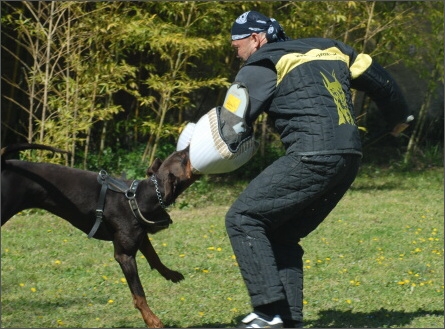 Training in France 23. - 25. 3. 2008 