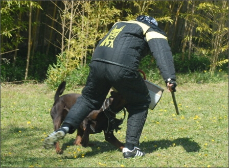 Training in France 23. - 25. 3. 2008 