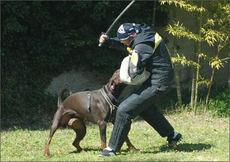 Training in France 23. - 25. 3. 2008 