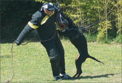 Training in France 23. - 25. 3. 2008 