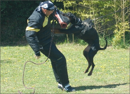 Training in France 23. - 25. 3. 2008 