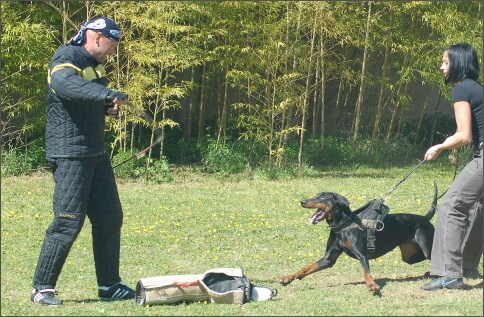 Training in France 23. - 25. 3. 2008 