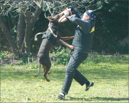 Training in France 23. - 25. 3. 2008 