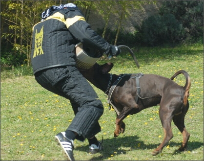 Training in France 23. - 25. 3. 2008 