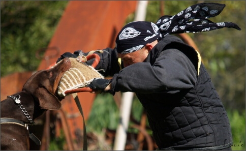 Training in France 23. - 25. 3. 2008 