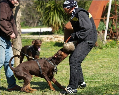 Training in France 23. - 25. 3. 2008 