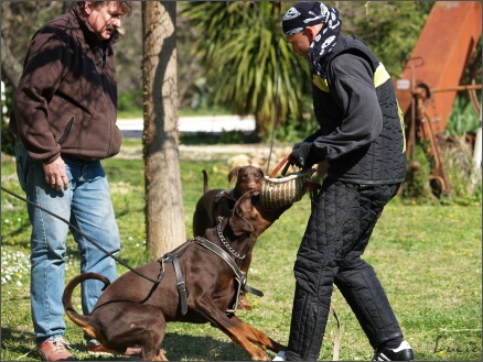 Training in France 23. - 25. 3. 2008 