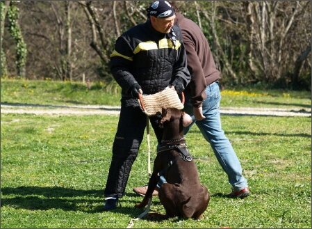 Training in France 23. - 25. 3. 2008 