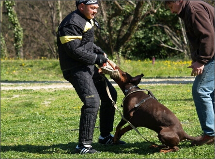 Training in France 23. - 25. 3. 2008 