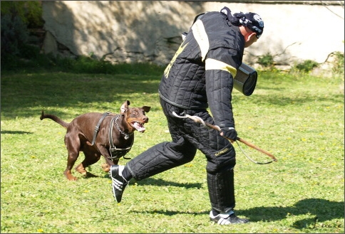 Training in France 23. - 25. 3. 2008 