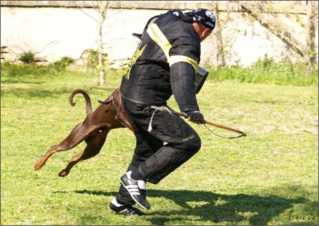 Training in France 23. - 25. 3. 2008 