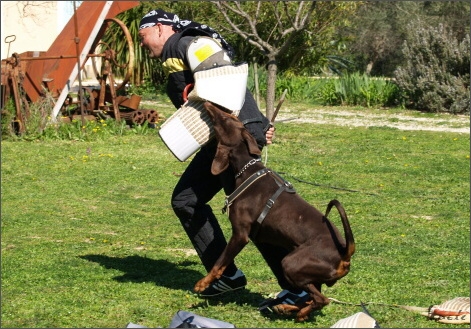 Training in France 23. - 25. 3. 2008 