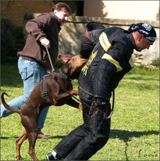 Training in France 23. - 25. 3. 2008 