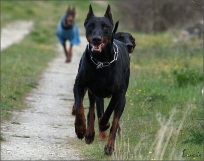 Training in France 23. - 25. 3. 2008 