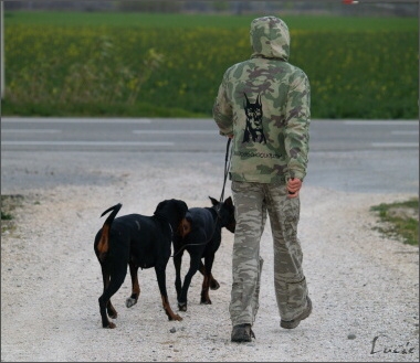 Training in France 23. - 25. 3. 2008 