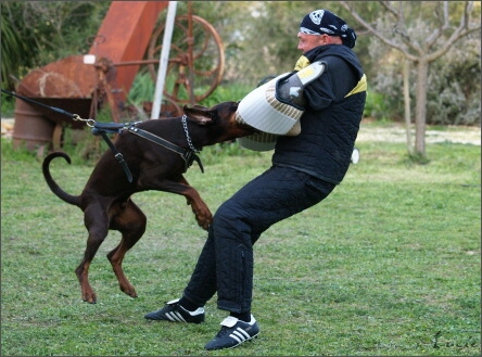 Training in France 23. - 25. 3. 2008 