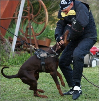 Training in France 23. - 25. 3. 2008 