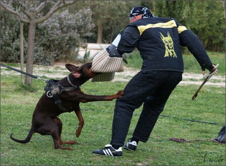 Training in France 23. - 25. 3. 2008 