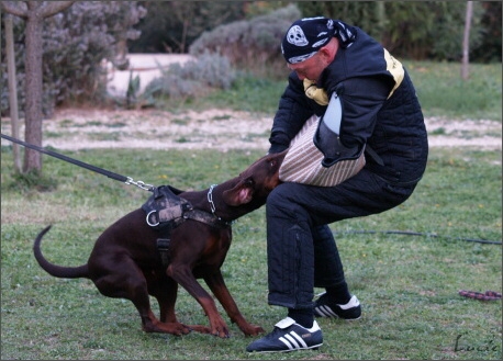 Training in France 23. - 25. 3. 2008 