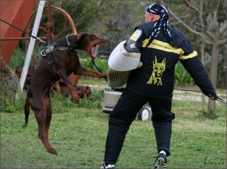 Training in France 23. - 25. 3. 2008 