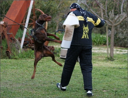 Training in France 23. - 25. 3. 2008 