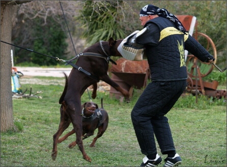 Training in France 23. - 25. 3. 2008 