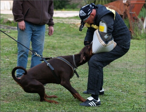 Training in France 23. - 25. 3. 2008 