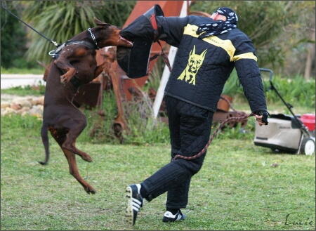 Training in France 23. - 25. 3. 2008 