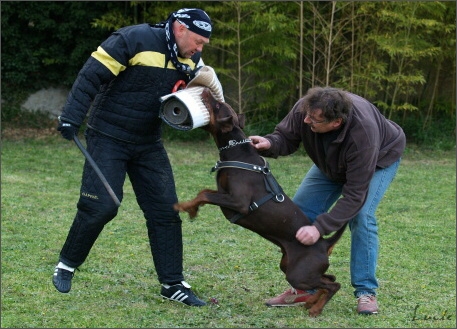 Training in France 23. - 25. 3. 2008 