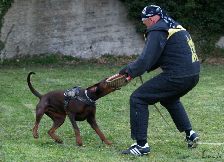 Training in France 23. - 25. 3. 2008 