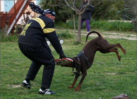 Training in France 23. - 25. 3. 2008 