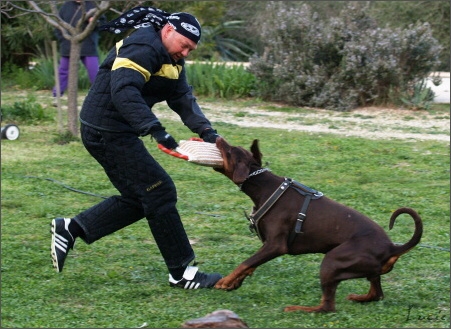 Training in France 23. - 25. 3. 2008 