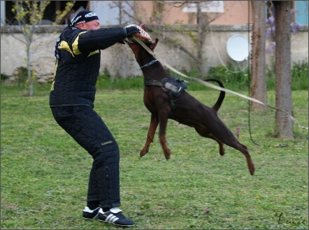 Training in France 23. - 25. 3. 2008 