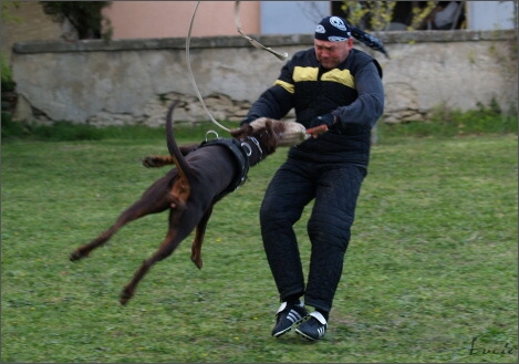 Training in France 23. - 25. 3. 2008 