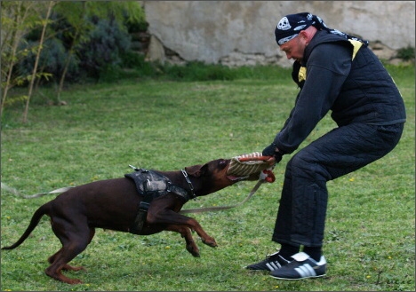 Training in France 23. - 25. 3. 2008 