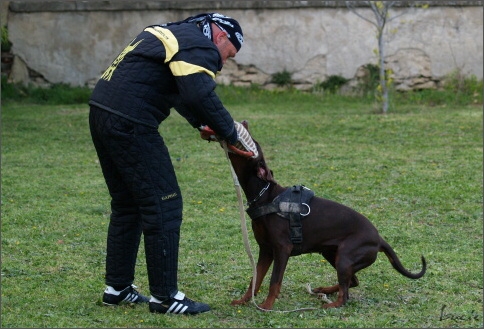 Training in France 23. - 25. 3. 2008 