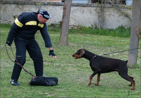 Training in France 23. - 25. 3. 2008 