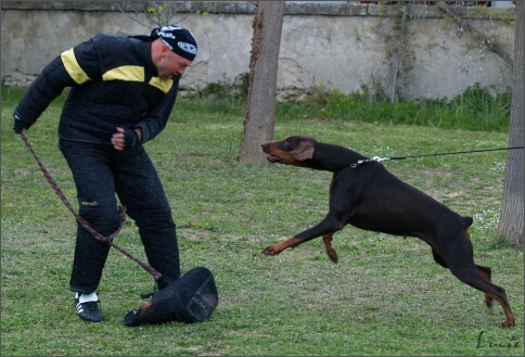 Training in France 23. - 25. 3. 2008 