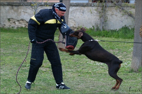 Training in France 23. - 25. 3. 2008 