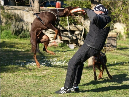 Training in France 23. - 25. 3. 2008 