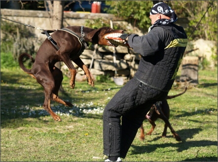 Training in France 23. - 25. 3. 2008 