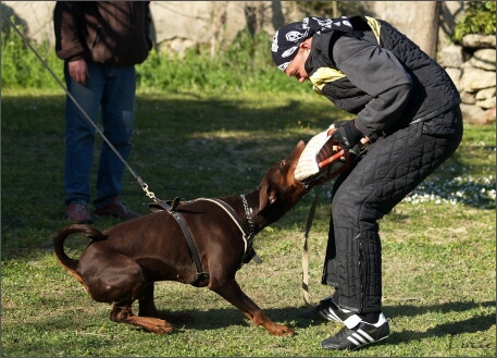 Training in France 23. - 25. 3. 2008 