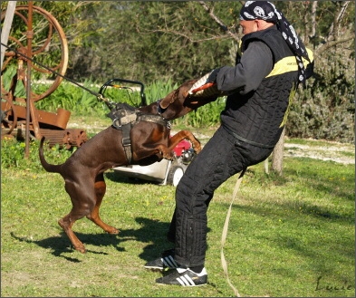 Training in France 23. - 25. 3. 2008 