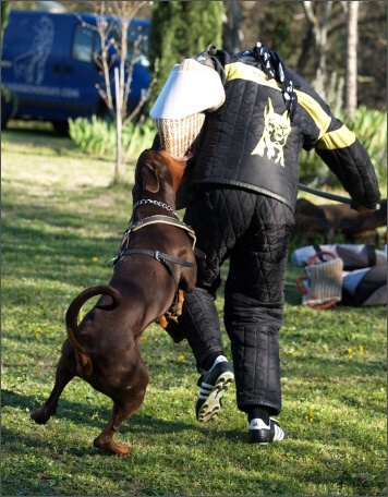 Training in France 23. - 25. 3. 2008 