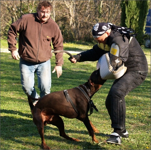 Training in France 23. - 25. 3. 2008 