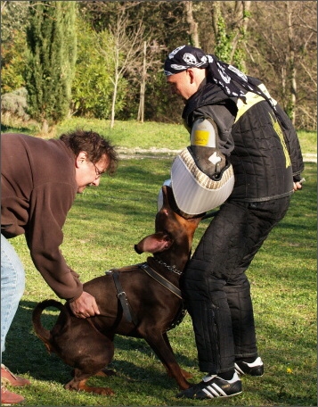 Training in France 23. - 25. 3. 2008 