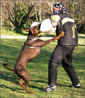 Training in France 23. - 25. 3. 2008 